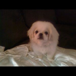 Meet your Posher, Becky